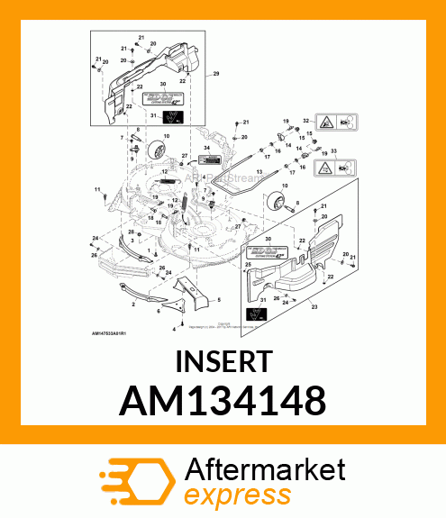 INSERT AM134148