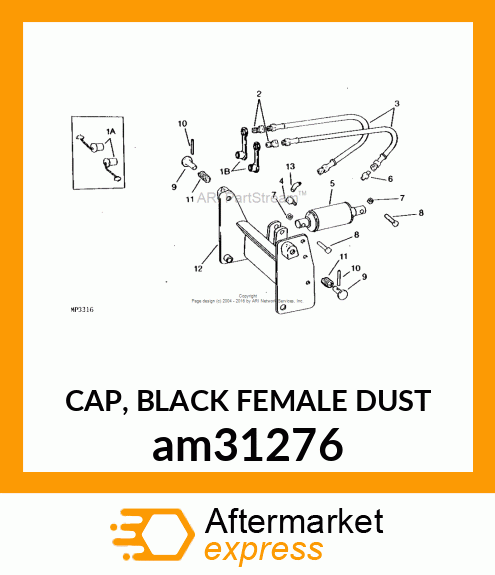 CAP, BLACK FEMALE DUST am31276