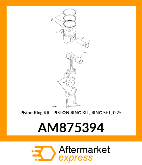 Piston Ring Kit AM875394