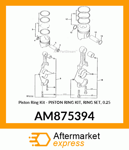 Piston Ring Kit AM875394