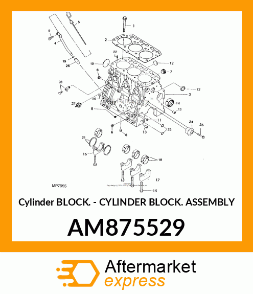 Cylinder Block AM875529