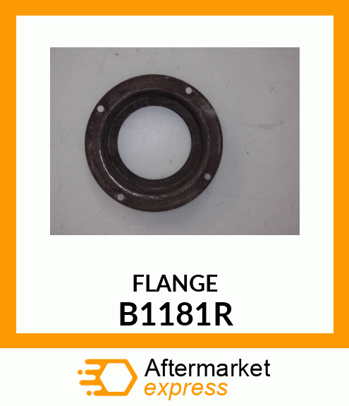 RETAINER,REAR AXLE FELT B1181R