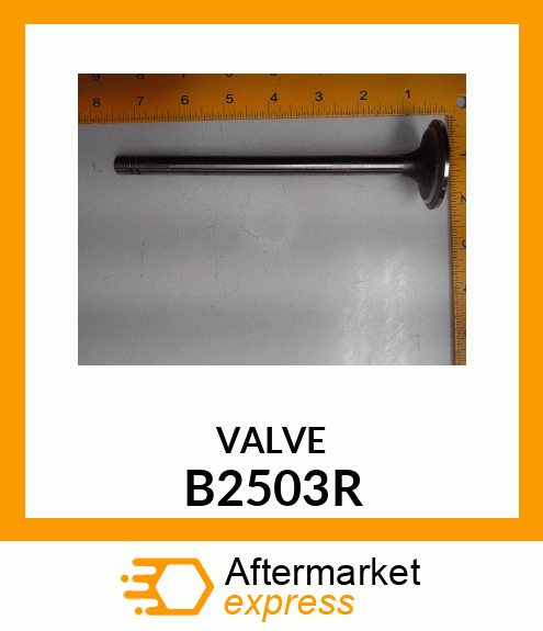 Exhaust Valve B2503R