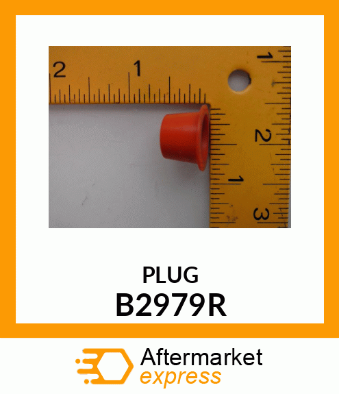 Plug B2979R