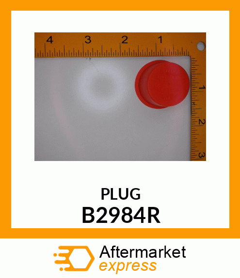 PLUG,CAP B2984R