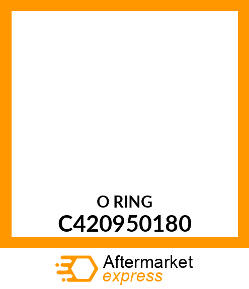 O-Ring C420950180