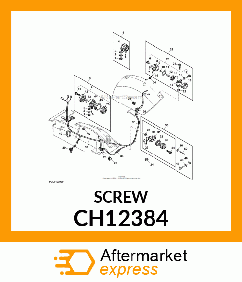 Screw CH12384