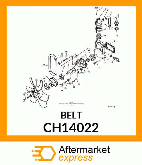 V-Belt CH14022
