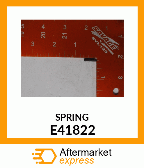 SPRING, DETENT E41822