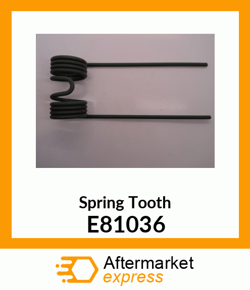 Spring Tooth E81036