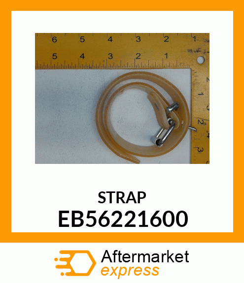 STRAP AND BUCKLE EB56221600