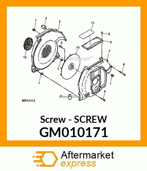 Screw GM010171