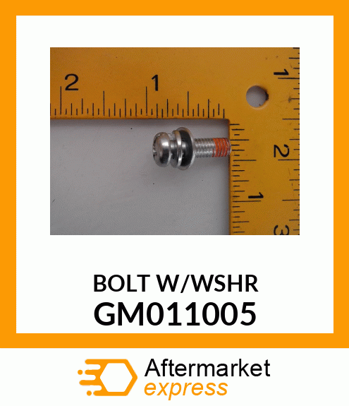 10PK Screw GM011005