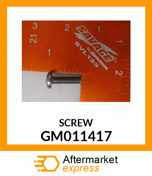 10PK Screw GM011417