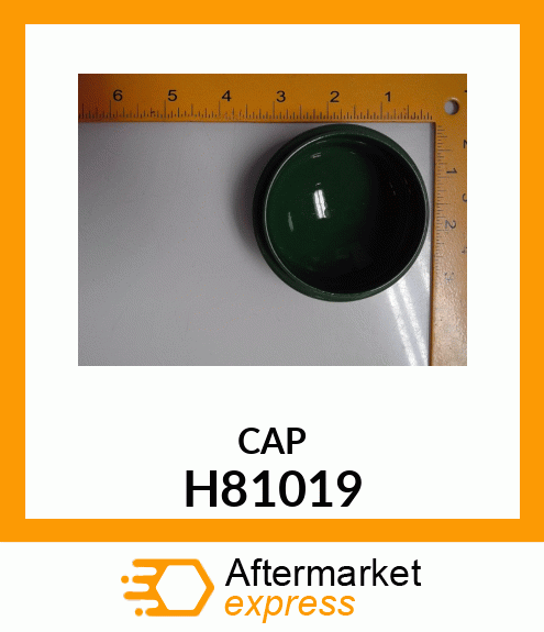 CAP H81019