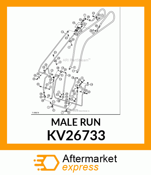 MALE RUN KV26733