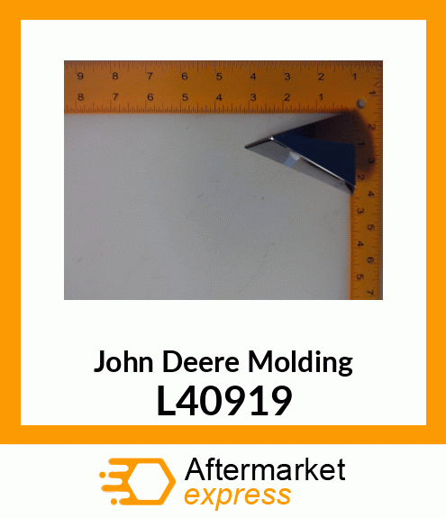 Molding L40919