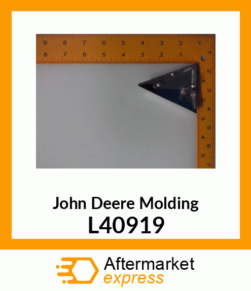 Molding L40919