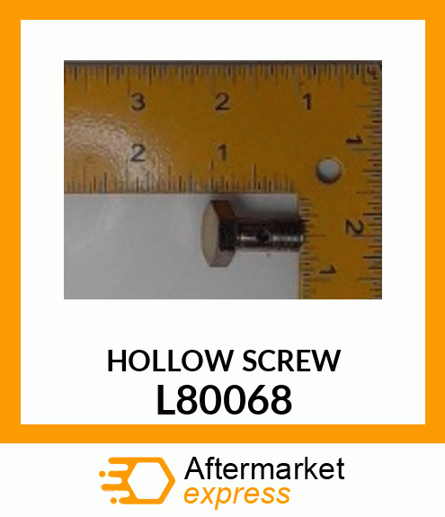 FITTING, HOLLOW SCREW L80068