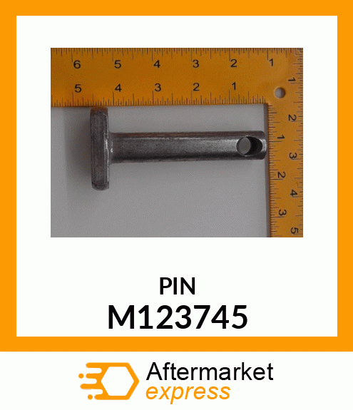 PIN, T M123745