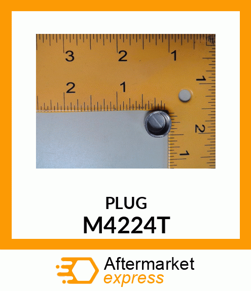 PLUG M4224T