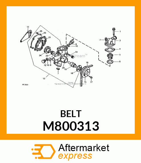 Belt M800313