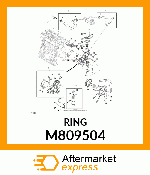 Ring M809504