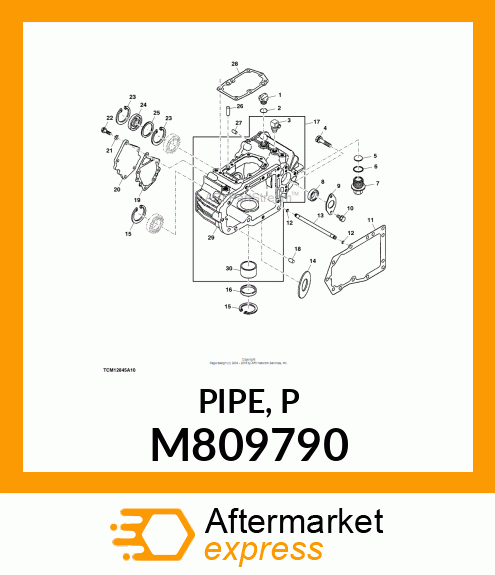 PIPE, P M809790