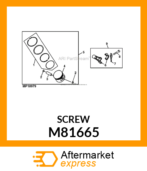 Screw M81665