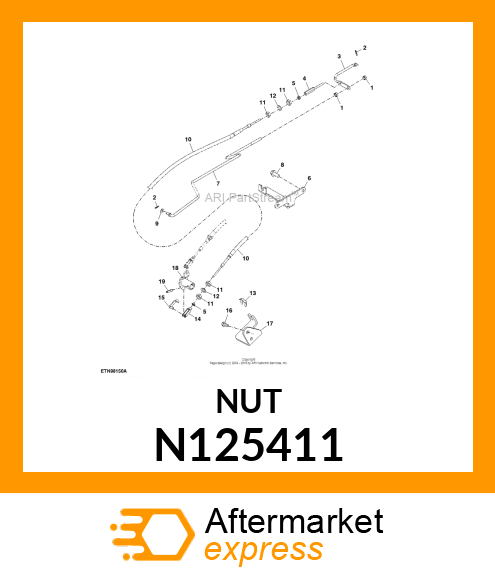 NUT N125411