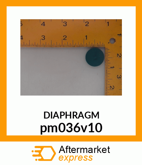 VITON DIAPHRAGM PM036V10