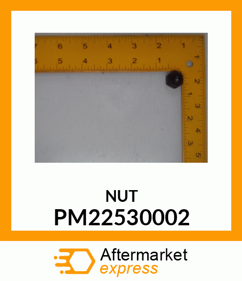 ACORN NUT PM22530002