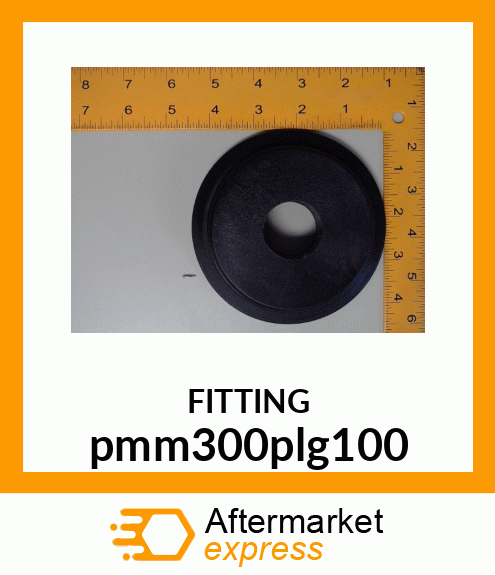 3" MANIFOLD PLUG WITH 1" pmm300plg100