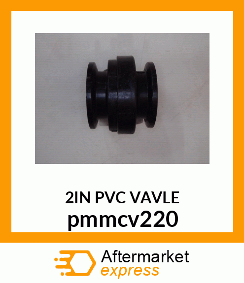 2" FULL PORT POLY CHECK VALVE pmmcv220