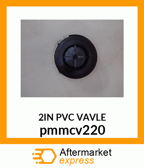 2" FULL PORT POLY CHECK VALVE pmmcv220