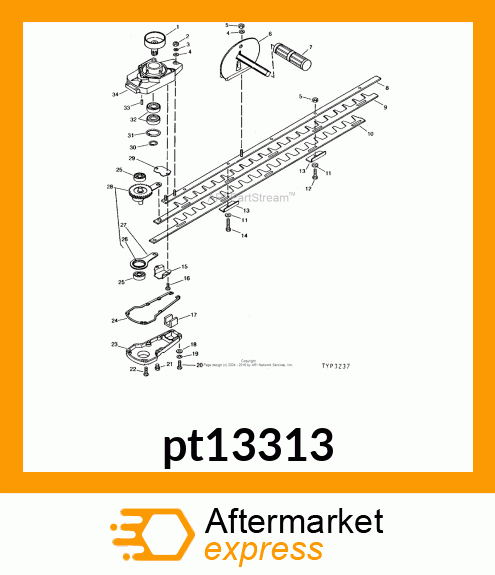 pt13313