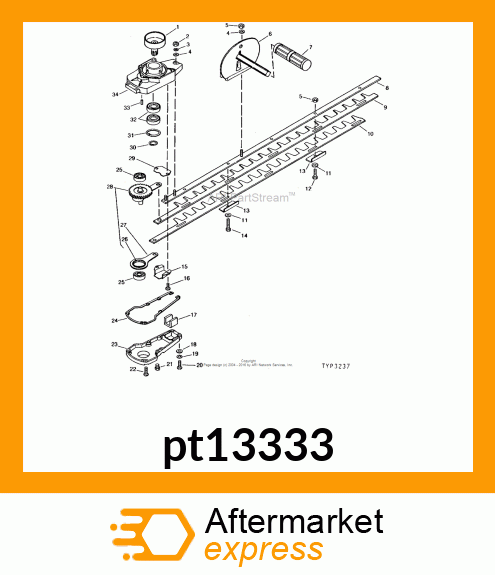 pt13333