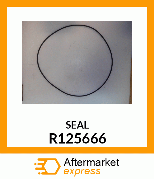 SEAL, OIL R125666