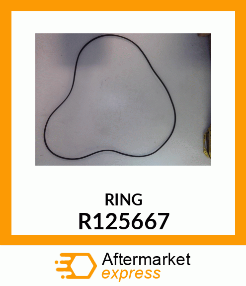 SEAL, OIL R125667