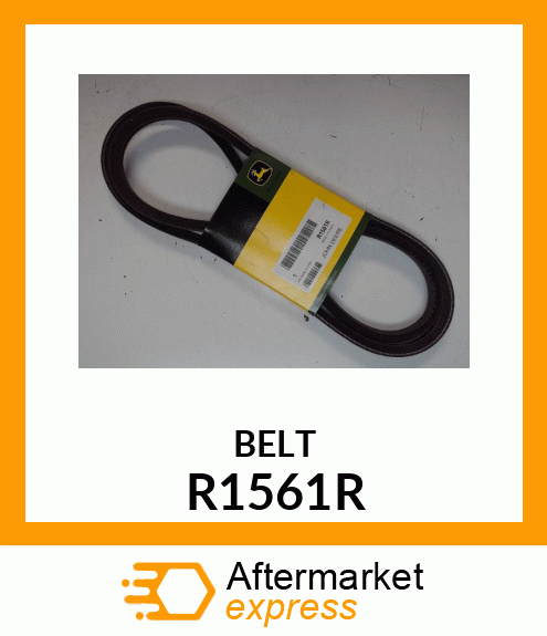 Belt R1561R