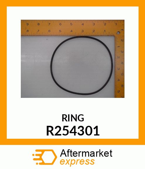 Ring R254301