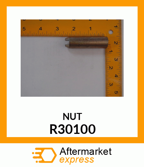 NUT,PIVOT R30100