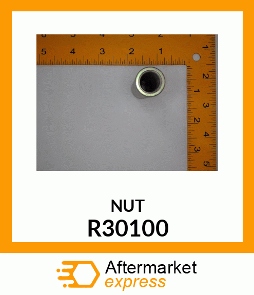 NUT,PIVOT R30100