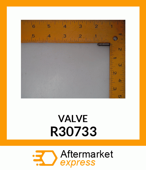 VALVE R30733