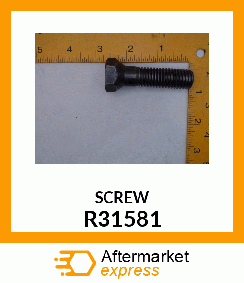SCREW,SPECIAL R31581