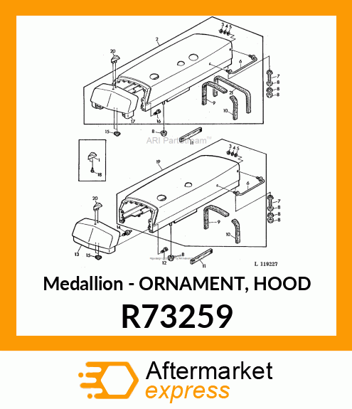 Medallion - ORNAMENT, HOOD R73259