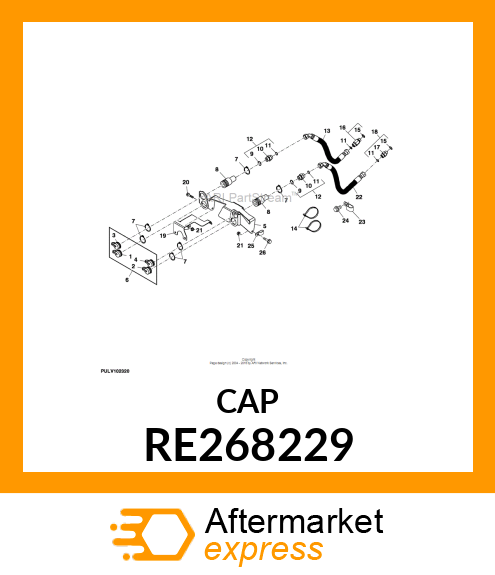 CAP, CAP, DUST 1R RE268229