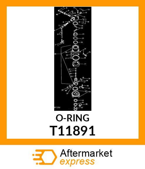 ORING T11891