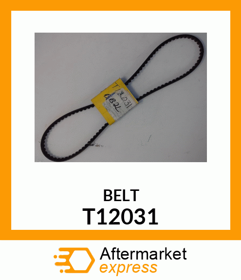 BELT T12031