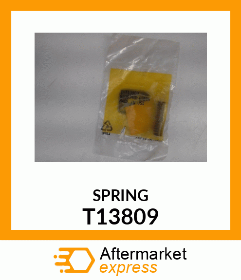 Spring T13809